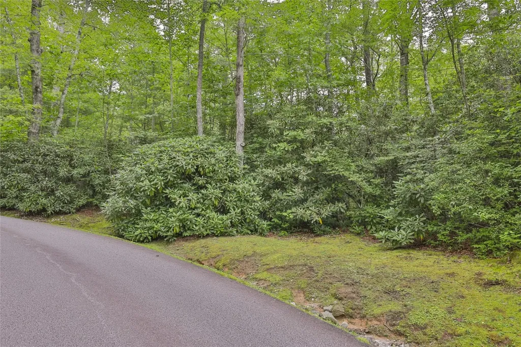 Lot 10b Streamside Drive Cashiers NC 28717