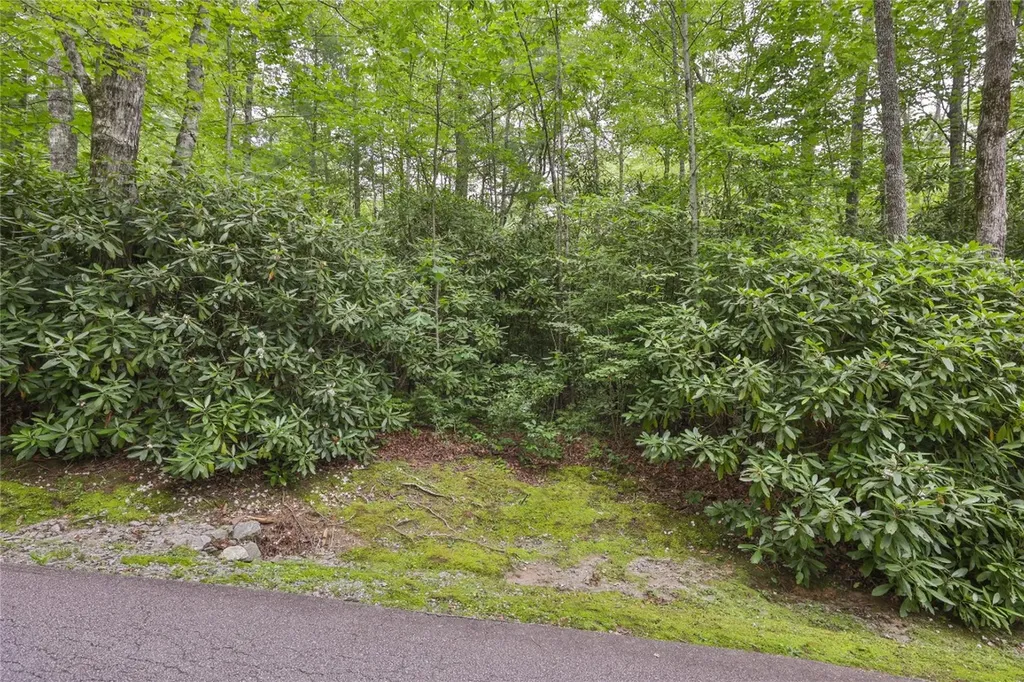 Lot 10b Streamside Drive Cashiers NC 28717