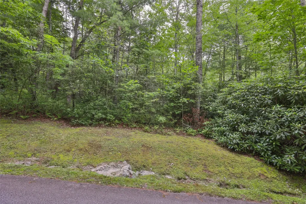 Lot 10b Streamside Drive Cashiers NC 28717