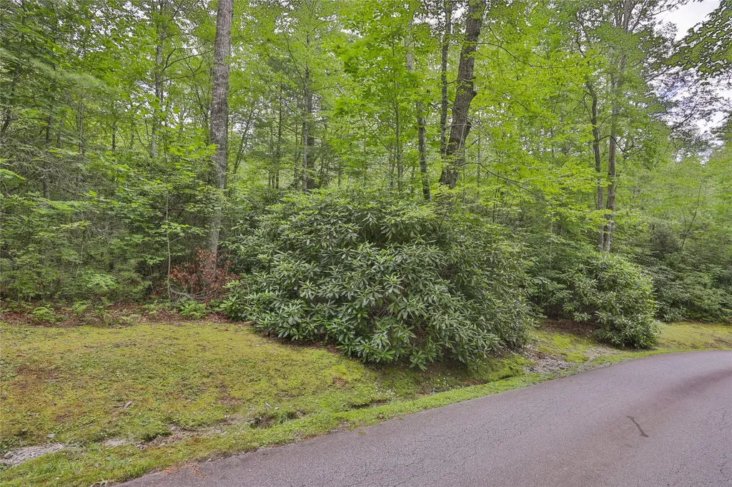Lot 10b Streamside Drive Cashiers NC 28717