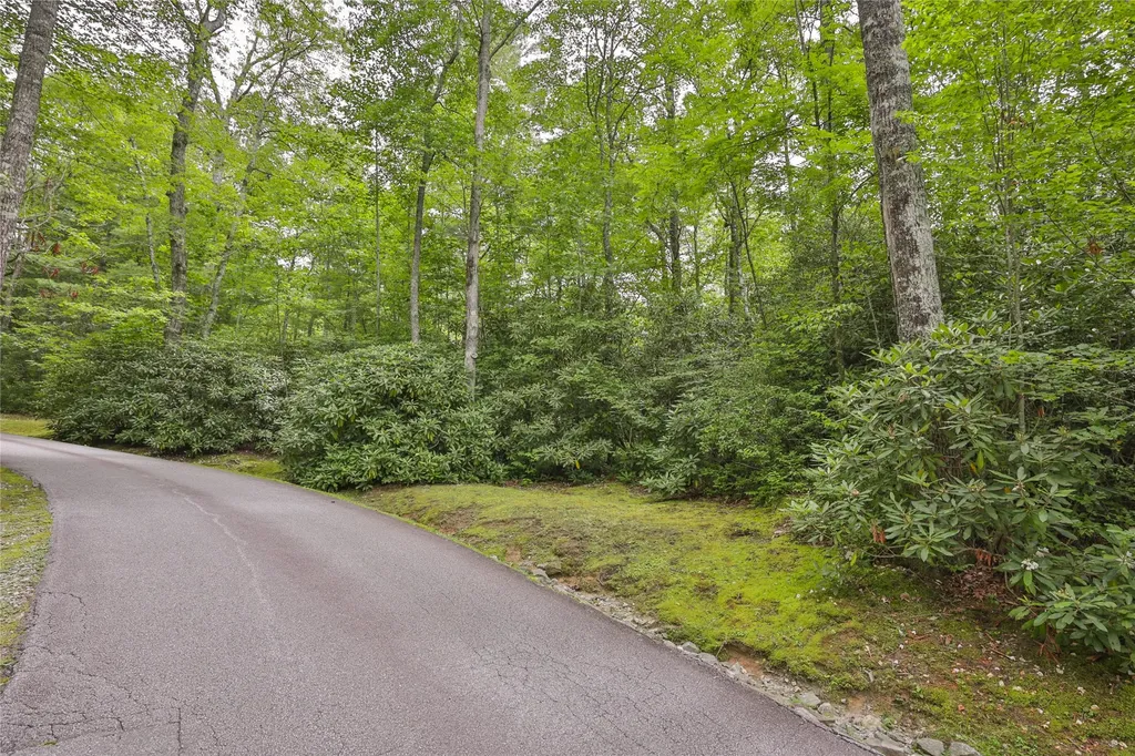 Lot 10b Streamside Drive Cashiers NC 28717