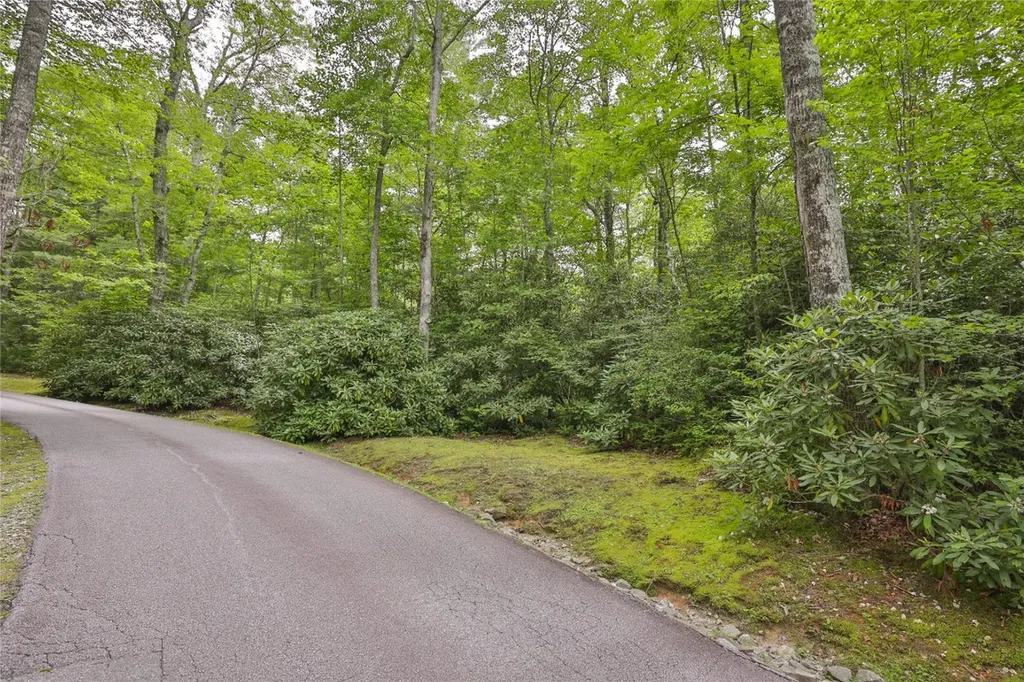 Lot 10b Streamside Drive Cashiers NC 28717