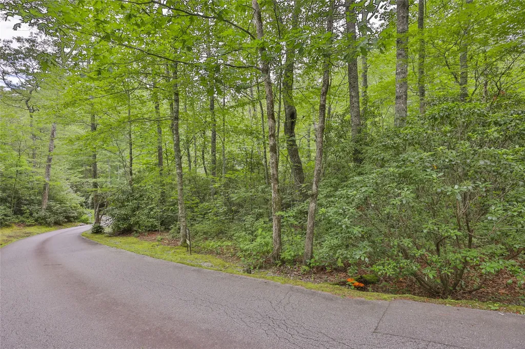 Lot 1b Streamside Drive Cashiers NC 28717