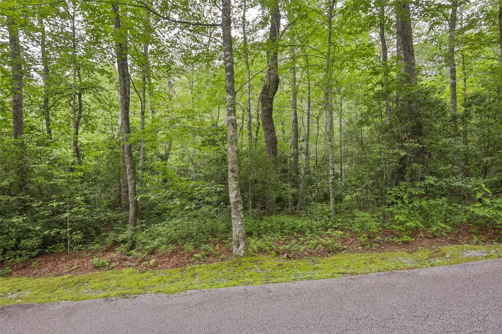 Lot 1b Streamside Drive Cashiers NC 28717