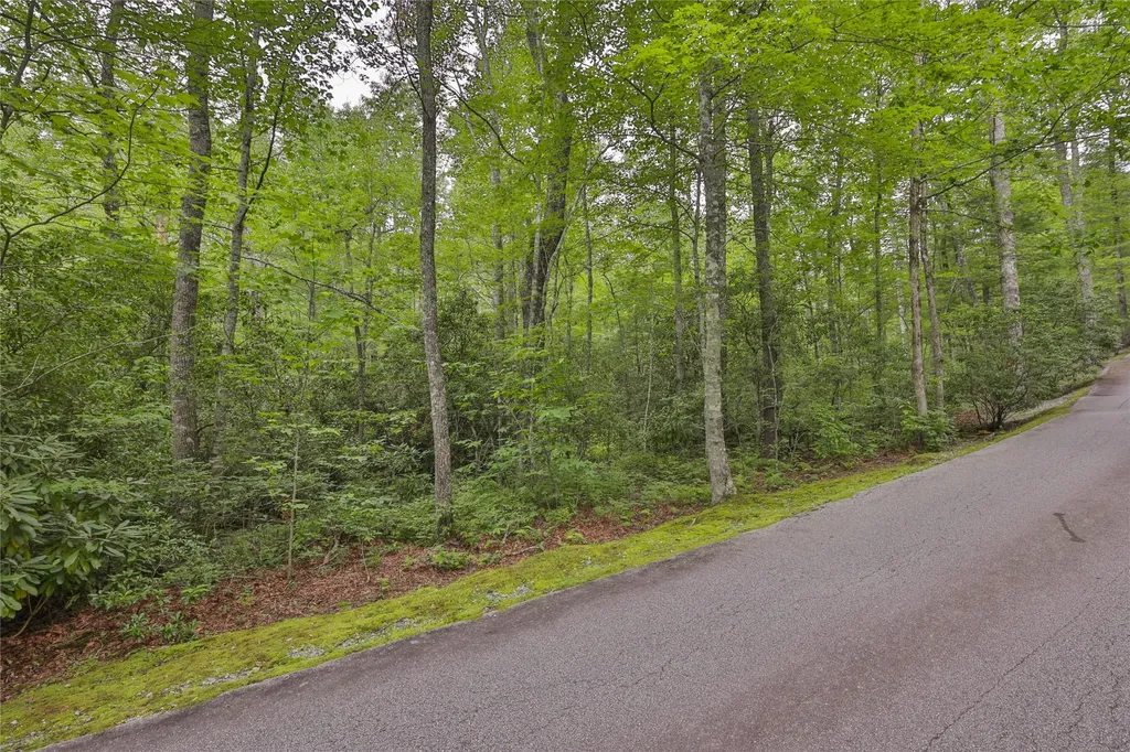 Lot 1b Streamside Drive Cashiers NC 28717