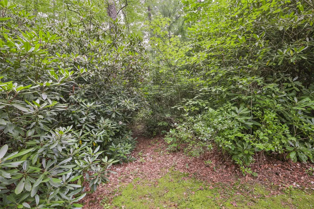 Lot 1b Streamside Drive Cashiers NC 28717