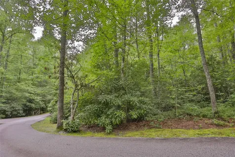 Lot 1b Streamside Drive Cashiers NC 28717