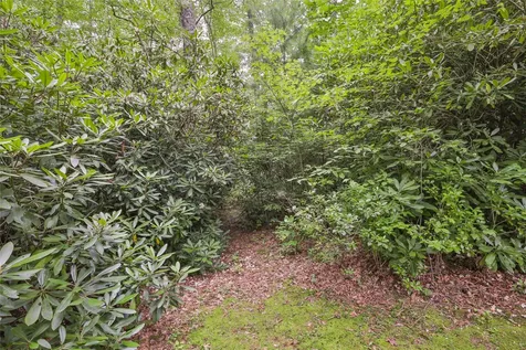 Lot 1b Streamside Drive Cashiers NC 28717