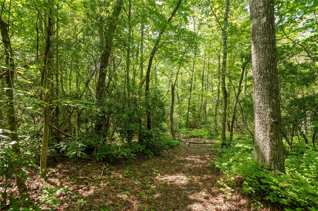 Lot 14 Streamside Drive Cashiers NC 28717