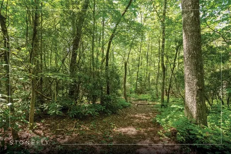 Lot 14 Streamside Drive Cashiers NC 28717