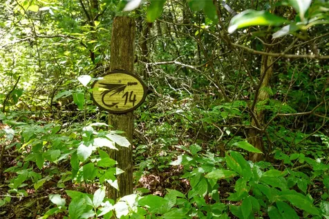 Lot 14 Streamside Drive Cashiers NC 28717