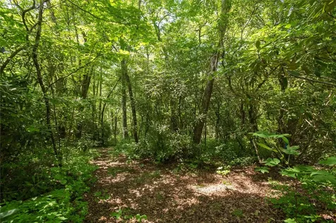 Lot 14 Streamside Drive Cashiers NC 28717