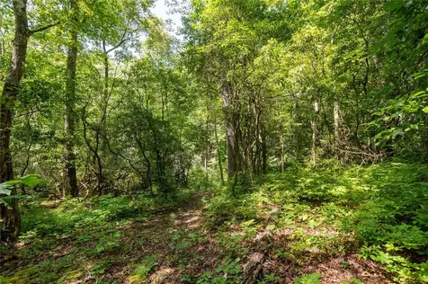 Lot 14 Streamside Drive Cashiers NC 28717