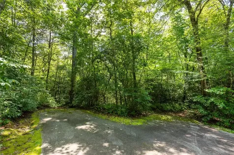 Lot 14 Streamside Drive Cashiers NC 28717