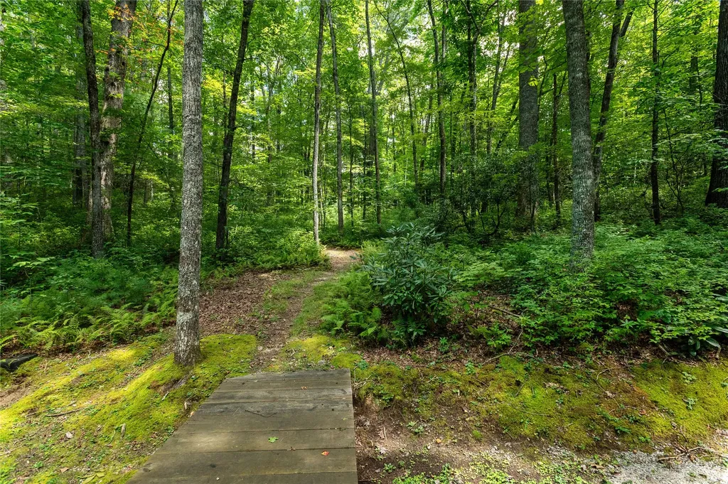 Lot 13 Streamside Drive Cashiers NC 28717