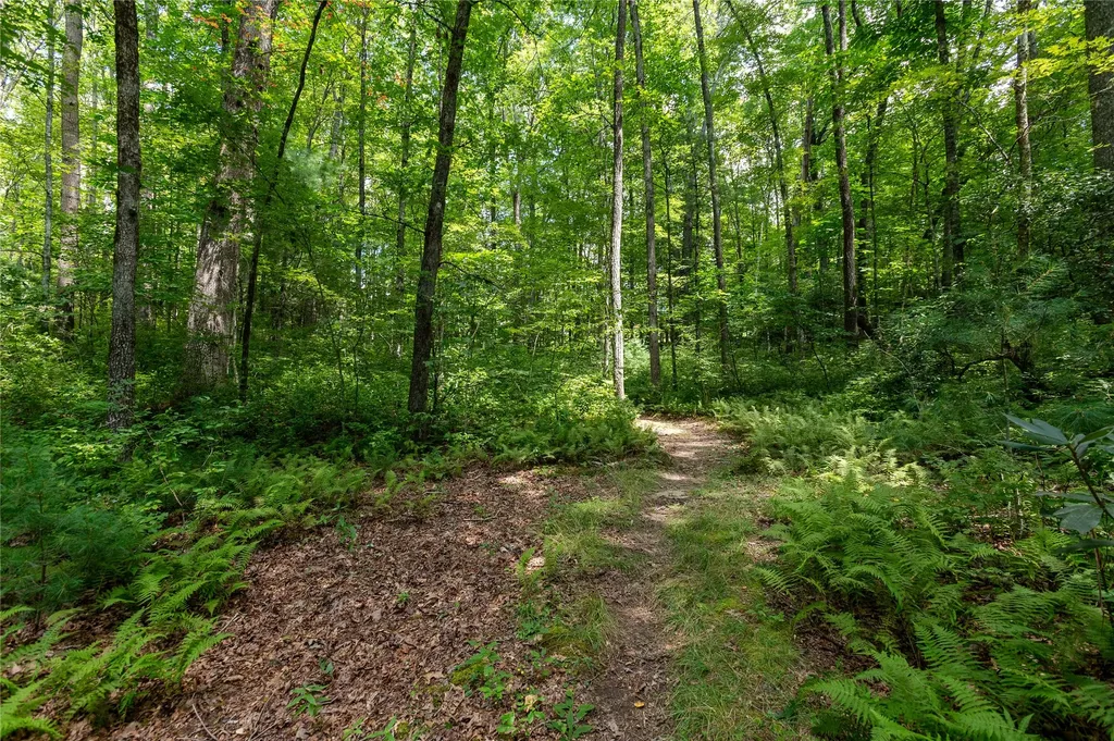 Lot 13 Streamside Drive Cashiers NC 28717