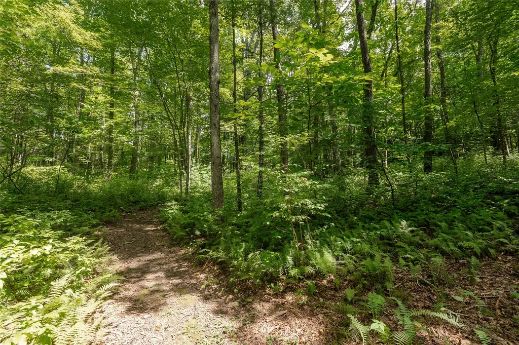 Lot 13 Streamside Drive Cashiers NC 28717