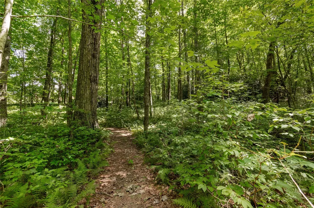 Lot 13 Streamside Drive Cashiers NC 28717