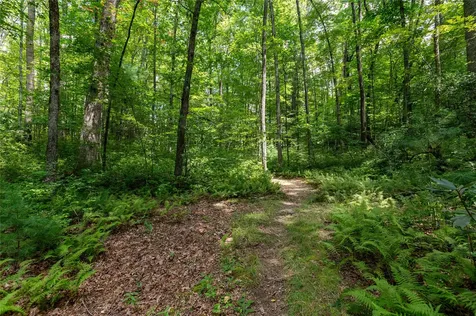 Lot 13 Streamside Drive Cashiers NC 28717