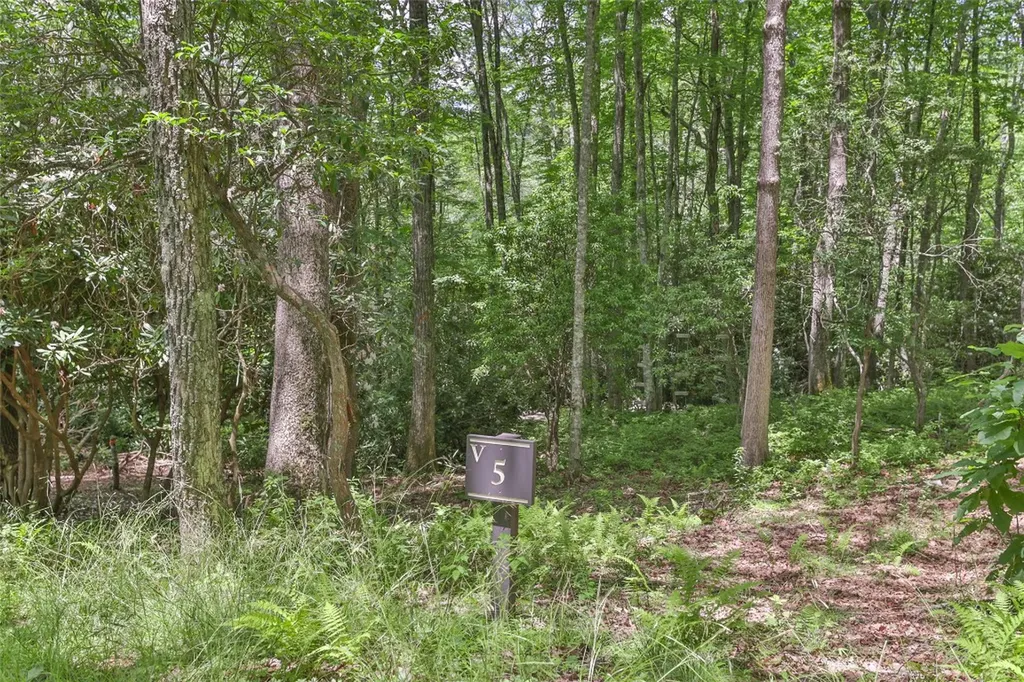 5 Flat Creek Drive Glenville NC 28736