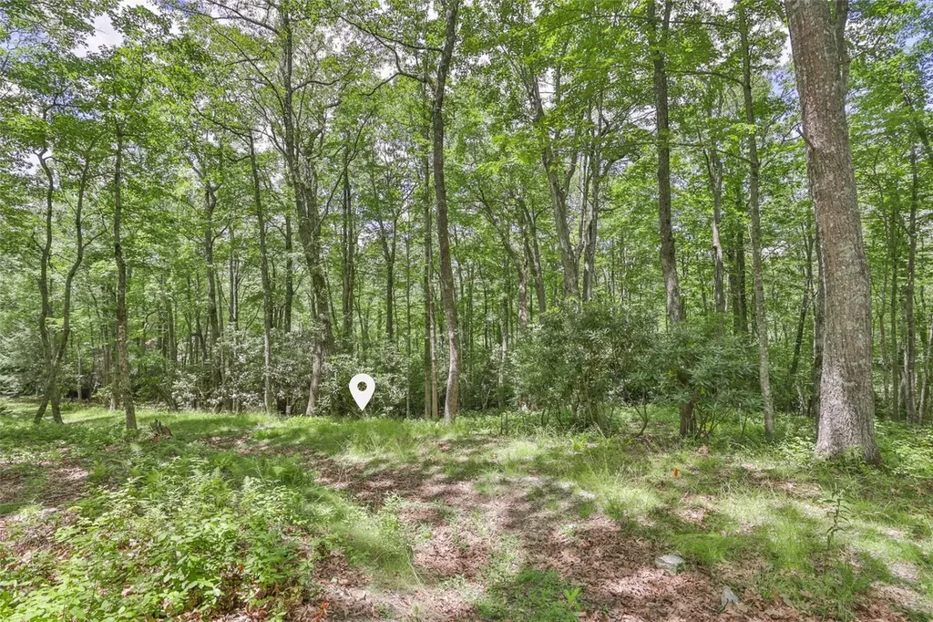 5 Flat Creek Drive Glenville NC 28736