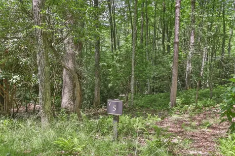 5 Flat Creek Drive Glenville NC 28736