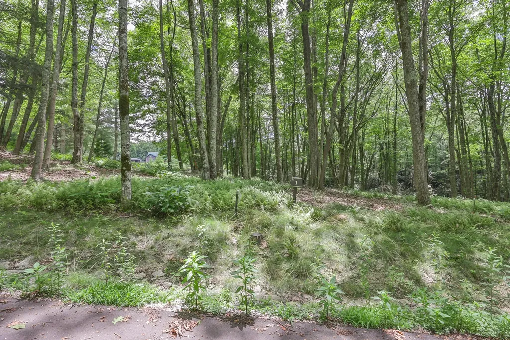 1 Flat Creek Drive Glenville NC 28736