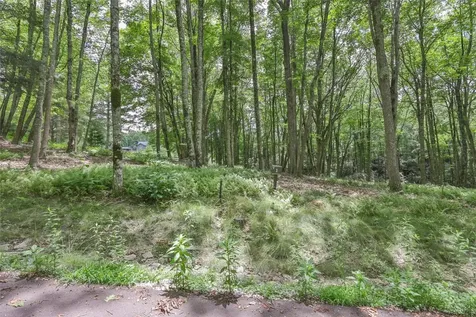 1 Flat Creek Drive Glenville NC 28736