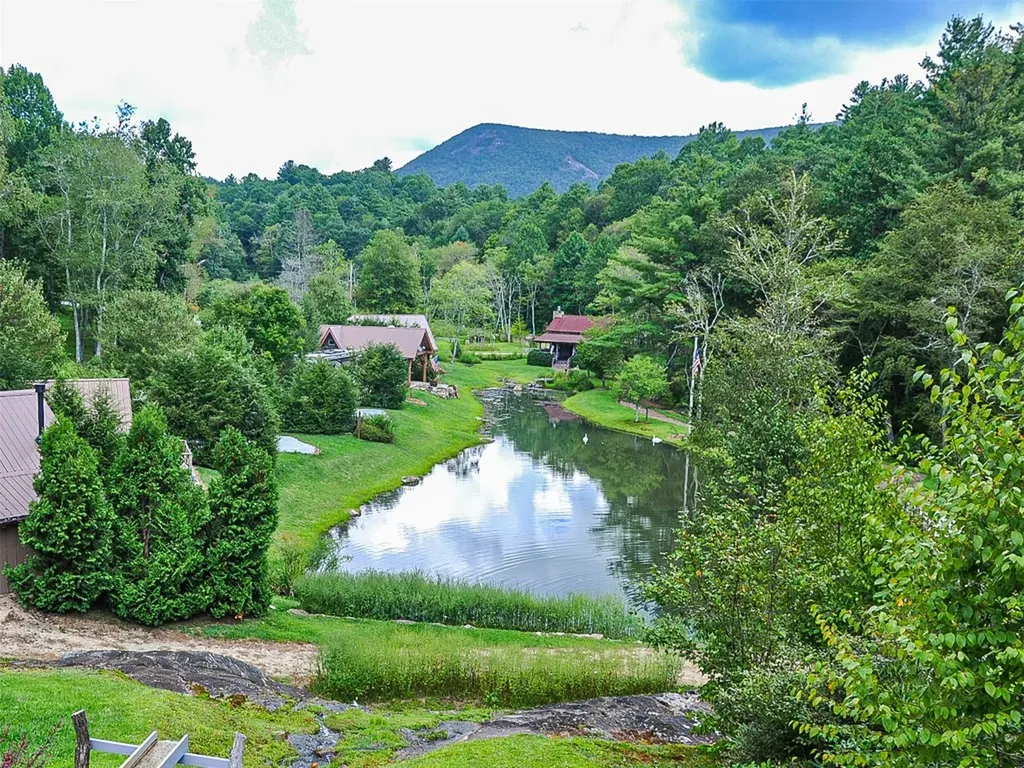 115 Wildflower Road Scaly Mountain NC 28775