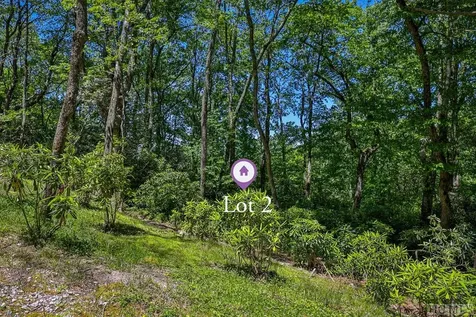 Lot 2 Big Bear Pen Road Highlands NC 28741