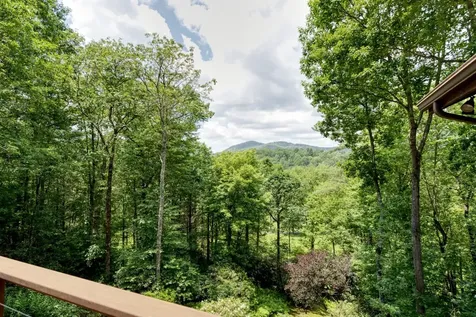 40 Piney Ridge Court Sapphire NC 28774