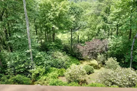 40 Piney Ridge Court Sapphire NC 28774