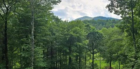 40 Piney Ridge Court Sapphire NC 28774