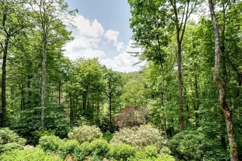 40 Piney Ridge Court Sapphire NC 28774