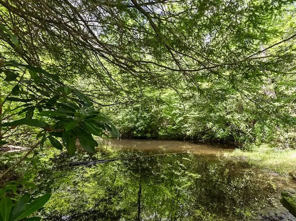 11 Feldspar Lane Sapphire NC 28774