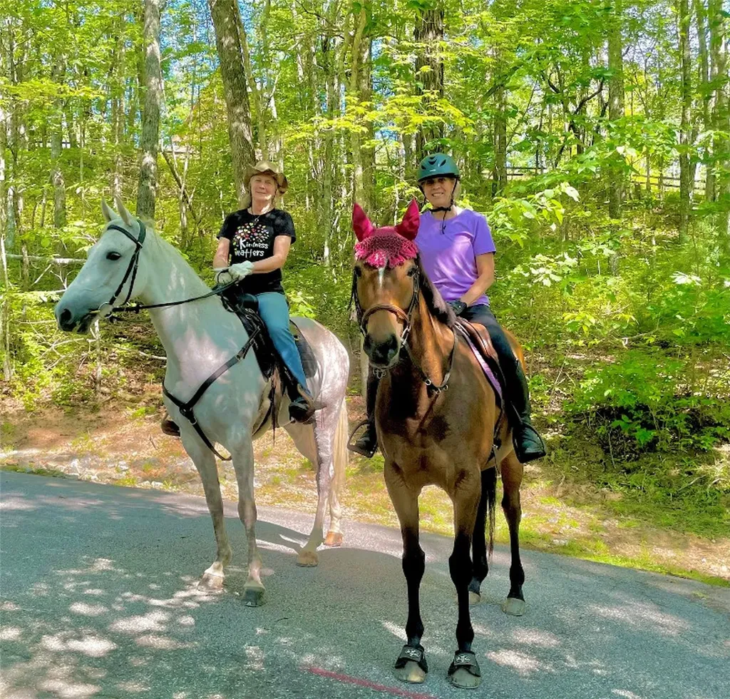 11 Feldspar Lane Sapphire NC 28774