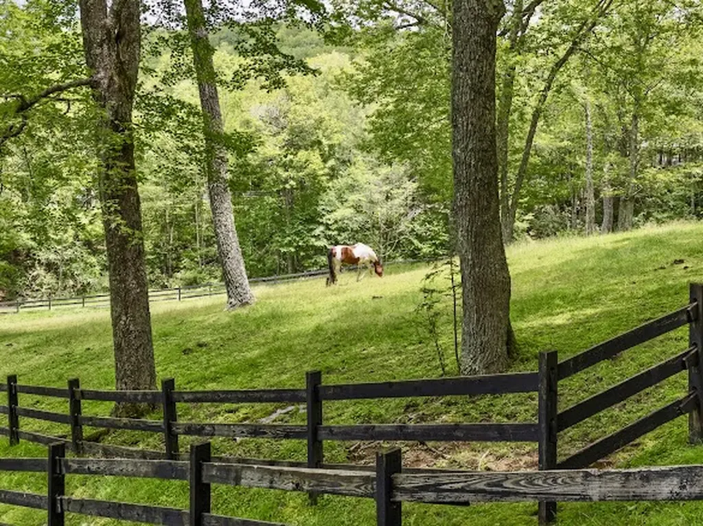 11 Feldspar Lane Sapphire NC 28774