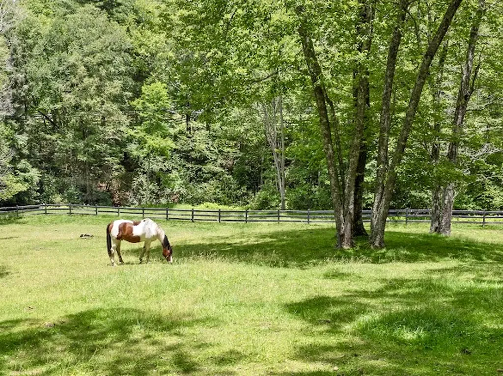 11 Feldspar Lane Sapphire NC 28774