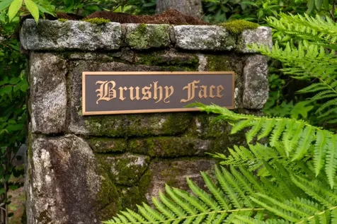 Tbd Brushy Face Road Highlands NC 28741