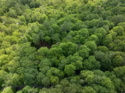 Tbd Brushy Face Road Highlands NC 28741