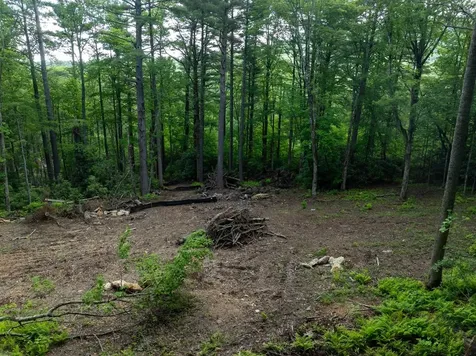 Tbd Brushy Face Road Highlands NC 28741