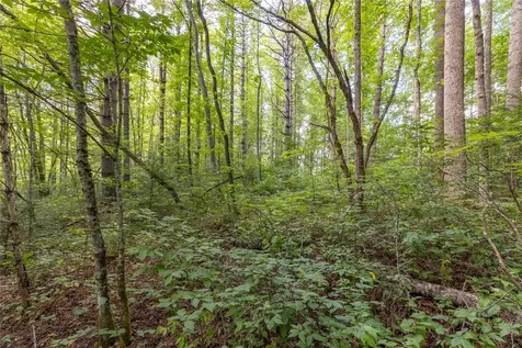524 White Rock Road Cullowhee NC 28723
