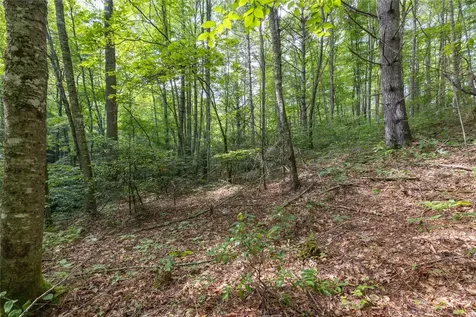 524 White Rock Road Cullowhee NC 28723