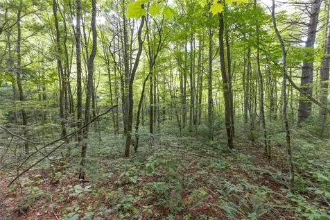 524 White Rock Road Cullowhee NC 28723
