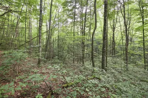 524 White Rock Road Cullowhee NC 28723