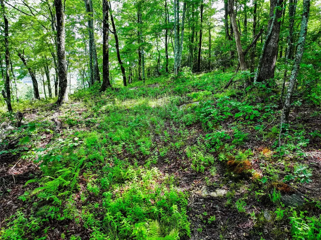 ME-1 Triple Farm Road Cashiers NC 28717