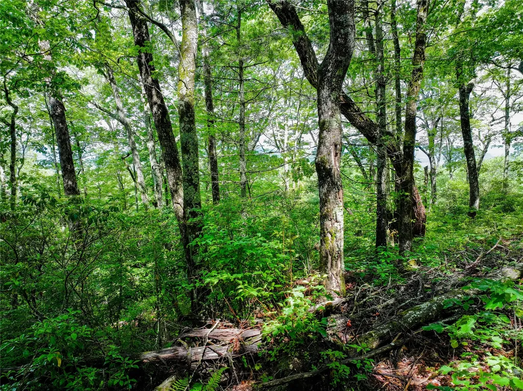 ME-1 Triple Farm Road Cashiers NC 28717