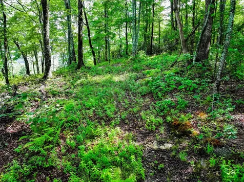 ME-1 Triple Farm Road Cashiers NC 28717