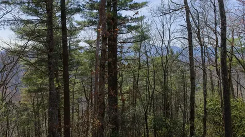 ME-1 Triple Farm Road Cashiers NC 28717