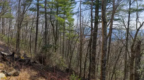 ME-1 Triple Farm Road Cashiers NC 28717